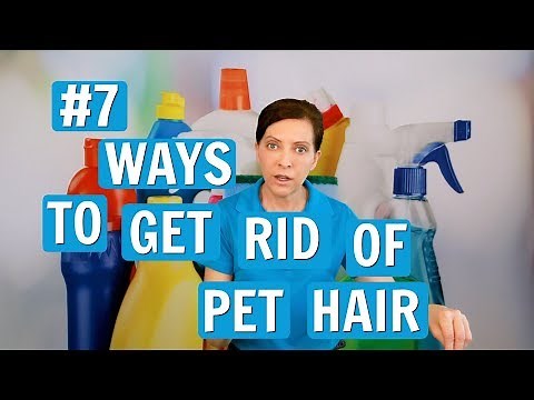 Pet Hair Removal - 7 Best Ways