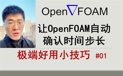 OpenFOAM#c03b：让OpenFOAM自动确定时间步长 | OpenFOAM极端好用的小技巧 #01