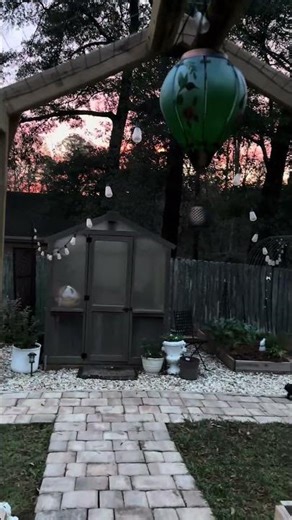 Quiet Morning Sunrise and Birds Singing