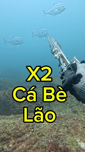 69K views · 874 reactions | Cá Bè Lão #danhtran911 #spearfishing #speargun #reels #spearshaft #cabelao | Danh Trần | Facebook