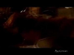 Wicked Game: Smallville Style