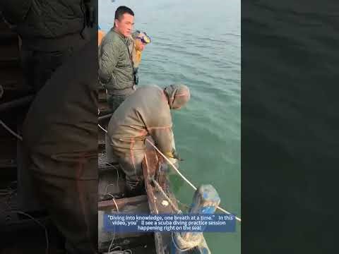 Scuba Diving Practice: Hands - on Training at Sea