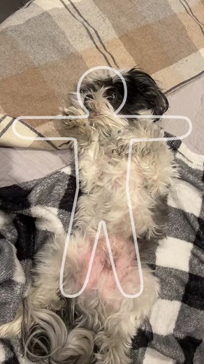 baxter