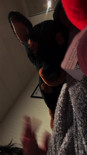 #FYPPPPP #support #doberman #essa #gear