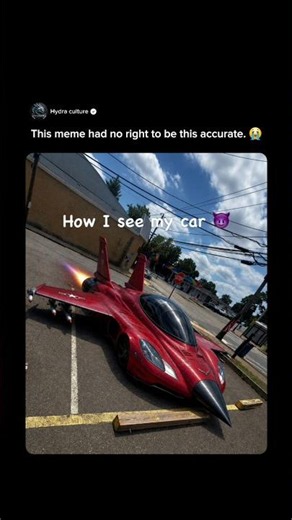 How I See My Corvette vs How My Family Sees It 😂 #carguy #memes #corvette #cars