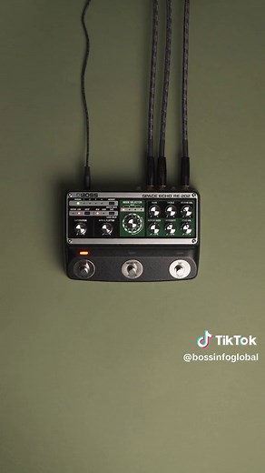 Versatile Sound Machine: Boss RE-202 Space Echo Exploration