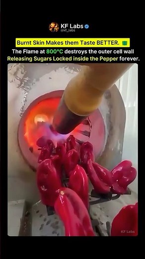 Burning Peppers Makes Them Taste Better. Here's Why 🫑