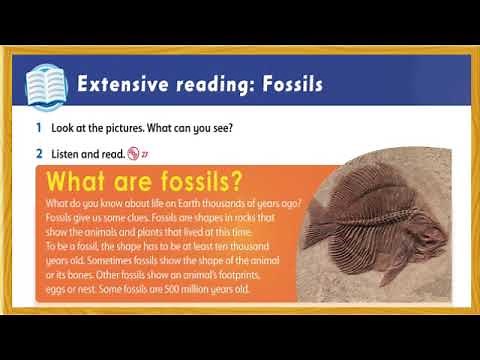 Family & Friends 4 - Fluency Time 1 & Extensive Reading (Second Edition)