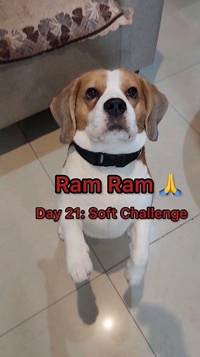 149K views · 7.1K reactions | Doodle on Reels | Facebook