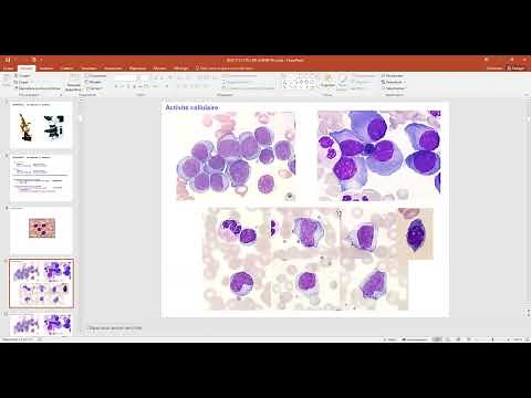 Phase socle 2022-2023 : Cytologie et cytometrie de flux