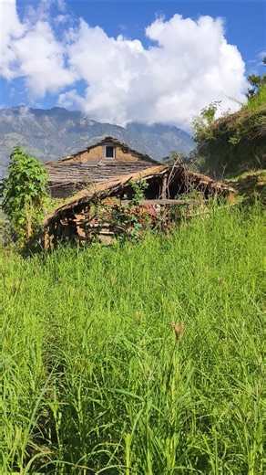 You Won’t Believe How People Live in These Remote Himalayas! 🏔️🇳🇵 #Shorts