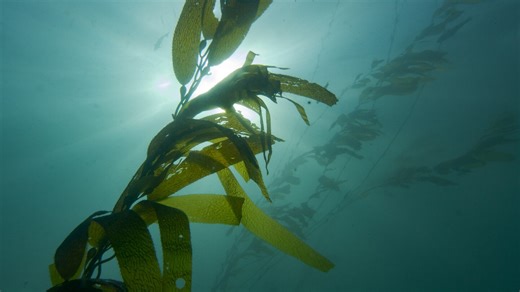 Climate change is fueling a desalination boom. Can new technology make it sustainable?