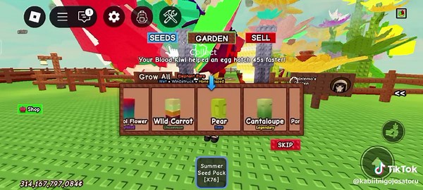 Opening 100 Summer Seed Packs for Elephant Ear