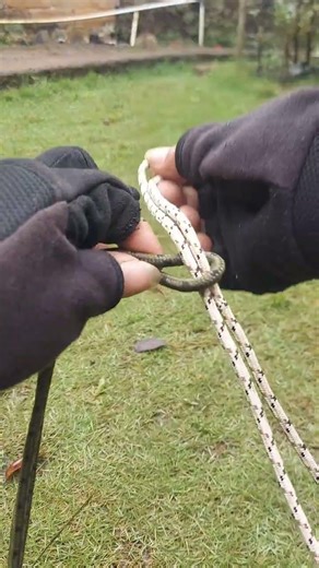splicing techniques #knot #rope #knottrick #snake #ropeskills