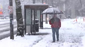 Record-breaking snow brings Seattle area to standstill