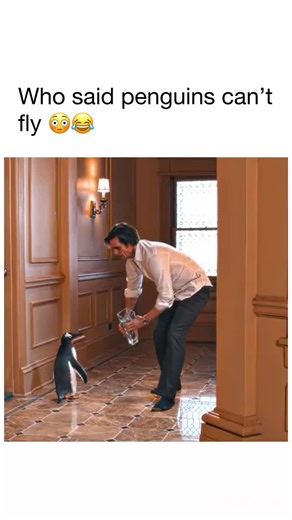 memes and movies account on Instagram: "One of my faves movies 🎥 Mr. Popper’s Penguins: Tom Popper (Jim Carrey) grew up having very little interaction with his father, who was off exploring the world. When he grows up, he spends most of time on his work and ignores his children. One day his father sends him an unusual gift: a penguin. Popper can’t help but wonder why his father would send him a penguin. He tries to get rid of it, but accidentally orders five more. When his children and ex-wife 
