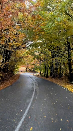 📍 Curse regulate, cu orar stabilit și opriri prevăzute Cu Agenția 307, știi exact unde ajungi și când ajungi. 🔁 Ne adaptăm după dorințele pasagerilor – pentru că fiecare călătorie contează. 🚌 Alege siguranța, confortul și echipa care te înțelege. 📲 Rezervă acum: 373 60 307 307 | 39 380 4334 894 | 307 Agenţie de Transport