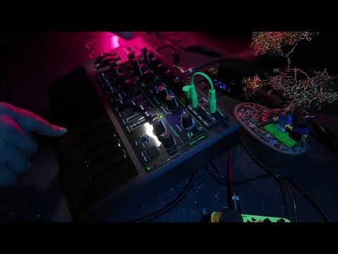 Experiment: Yellow Tail Octopus MicroBrute UFO