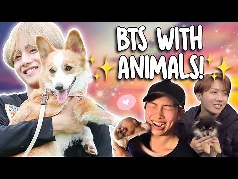 BTS WITH ANIMALS!