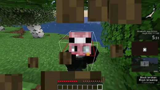 【Ninjabrain】我的世界速通11:24（新PB，1.16RSG）