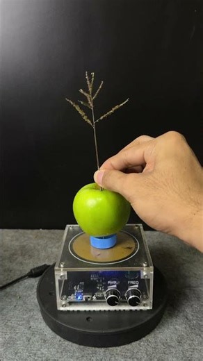 Lightning + Green Apple + Plants #teslacoil #experiment #shorts