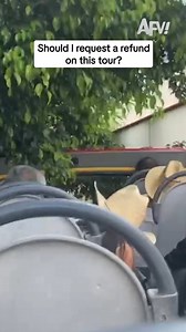 City tour or jungle trek? 🚍 #afv #fail #funny | America's Funniest Home Videos