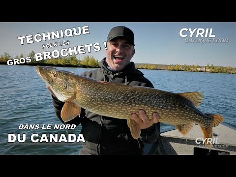 ÉNORMES BROCHETS dans le nord du Canada ! (Part 1/2)