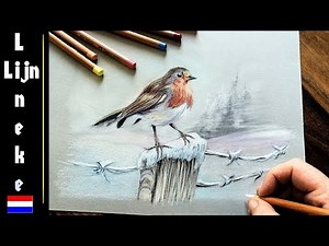 ROODBORSTJE tekenen potlood tekening