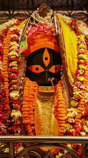 কালী ঘাট কালী মা ❤️ #love #kali #trending 🌺