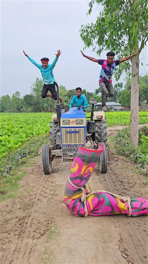 What is this in the middle of the road?