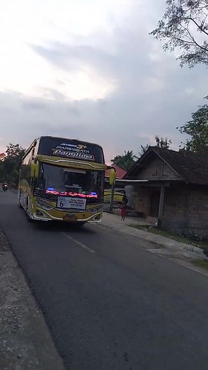 BUS MANIA131 on TikTok