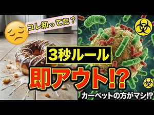「3秒ルール」は科学的に アウト？セーフ？ #3秒ルール #雑学 #科学 #ライフハック #食中毒 #実験 #OneMag #衛生 #細菌 #衝撃の事実