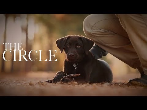 The Circle — true story of mans connection with k-9’s