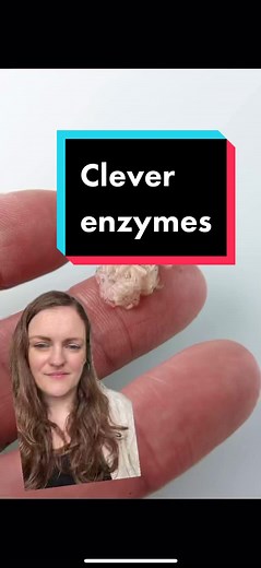 Fascinating Facts About Larvae and Maggot Therapy