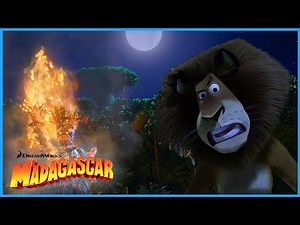 A FIRE On The Beach?! 🏖️🔥😳 | DreamWorks Madagascar