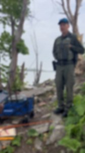 Forage fish is legal to cast net! #fishing | Everett Mathis Jr.