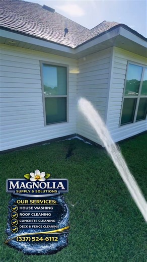 POV Soft washing with Predator 79cc #budgetbuild #housewashing #cheapshot #softwashing #diy