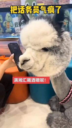 714715在抖音记录美好生活20240509