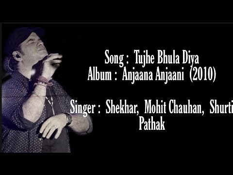 Tujhe Bhula Diya|| lyrics ||Mohit Chauhan ||Anjana Anjani|| Bollywood lyrics