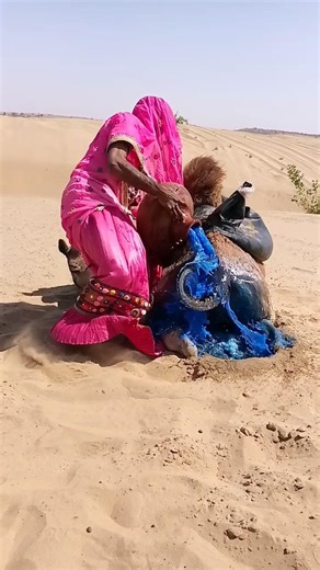 #animalsCamel & Girl Cute Scene 🐪❤️ #shorts Funny CamelMoment 😂🐪