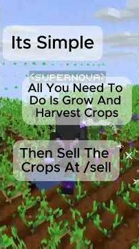 The ULTIMATE Money Guide for Complex Gaming!