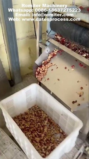 Automatic Dates Chip Slicing Cutting Machine