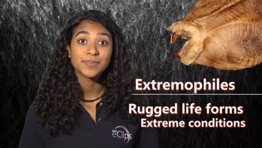 Our World: Where Do We Find Extremophiles? - NASA Science