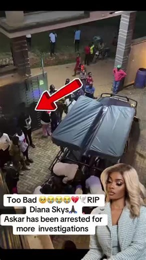 𝐒𝐚𝐫𝐚𝐔𝐩𝐝𝐚𝐭𝐞𝐬🏖 (@saraupdates5)’s videos with original sound - sheilahprice.tv