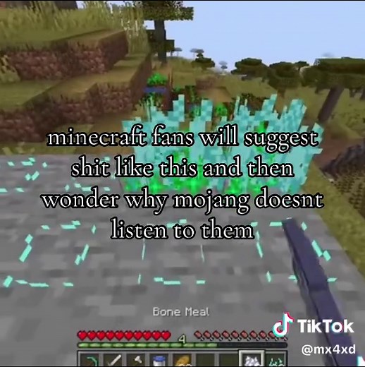 Minecraft fans complain about Mojang: why suggestions miss the mark