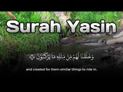 Sahur Time Surah Yasin Murottal Merdu for Miracle Success (Ramadan)