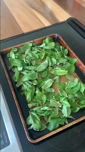 Drying Basil in the Oven