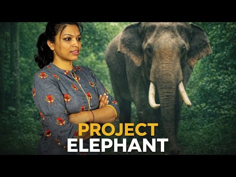 PROJECT ELEPHANT IMPORTANT FOR PSI/ESI/PC/KPSC