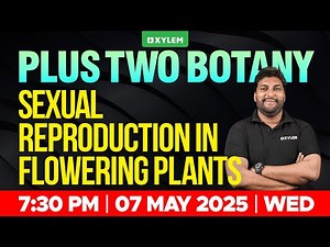 Plus Two Botany | Sexual Reproduction In Flowering Plants | Xylem Plus One