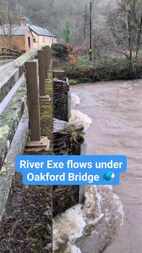 🌊 RIVER EXE FLOWS UNDER OAKFORD BRIDGE 🌊 Amid heavy rain, a swollen River Exe flows under Oakford Bridge, near Bampton. In the 24 hours to 4pm on Monday, nearly 2 inches of rain fell at Blackpitts, near where the river rises at Exe Head. A flood alert had been issued for the Middle Exe area between Exebridge and Tiverton, meaning flooding was possible, so I took a drive through the valley to see what was happening. While the river was lively and there was some standing water in fields and on r